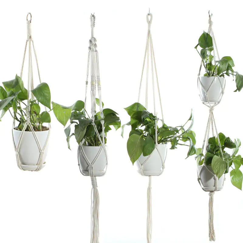 Hanging Macrame Plant Holder