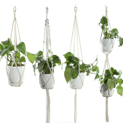 Hanging Macrame Plant Holder